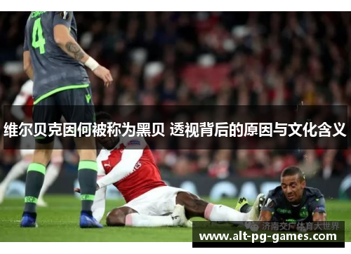 维尔贝克因何被称为黑贝 透视背后的原因与文化含义